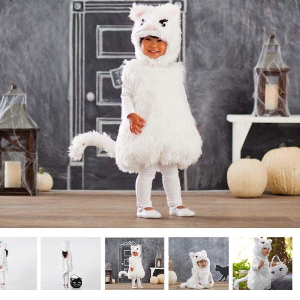 Pottery Barn Kids cat costume